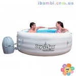 Бассейн-джакузи 54112