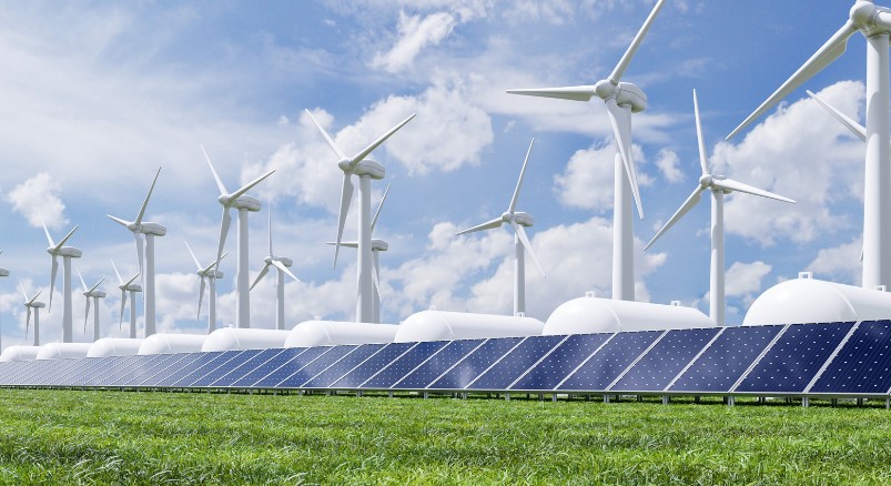 Які сонячні панелі кращі: порівнюємо різні технології, бренди та відгуки власників